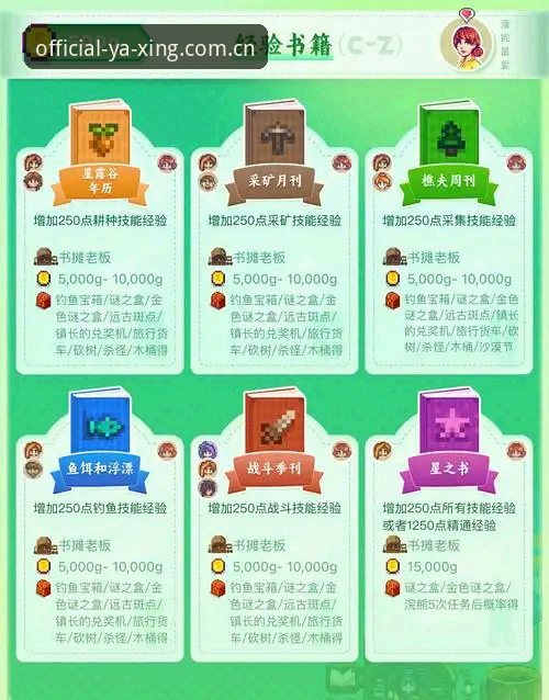 揭秘亚星安装包使用指南：从下载到畅玩的完整攻略