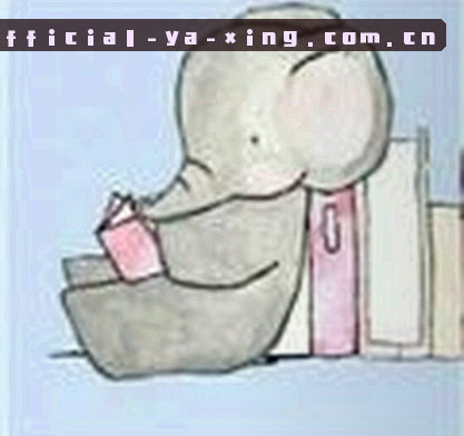 陈磊